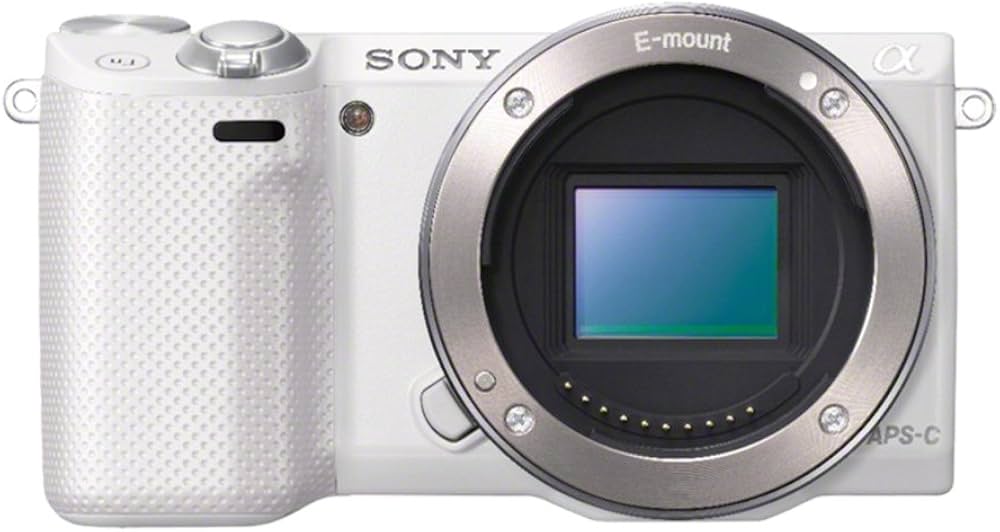Amazon.co.jp: SONY ミラーレス一眼 α NEX-5R パワーズームレンズ