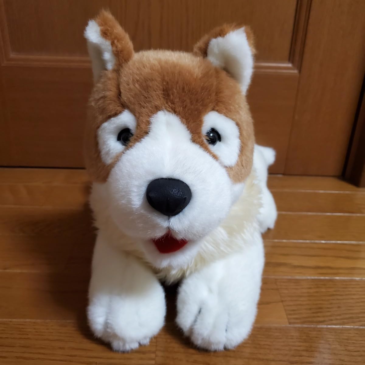 Amazon.co.jp: フランダースの犬 パトラッシュ ぬいぐるみ 世界名作