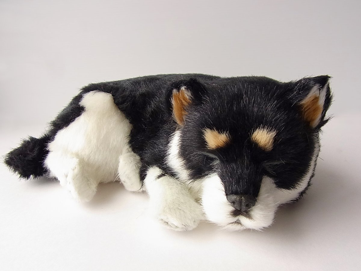 Amazon.co.jp: ニニアンドキノ パーフェクトペット (小サイズ) 柴犬