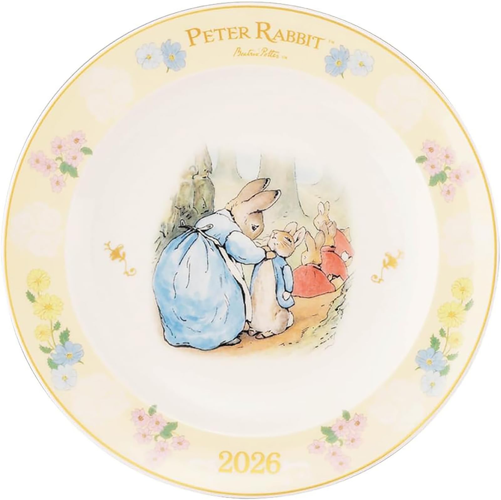 Amazon.co.jp: ピーターラビット 2026年 イヤーズ プレート 皿 直径約