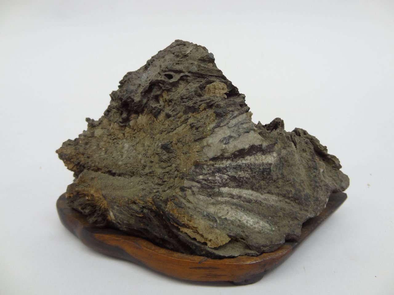 Amazon.co.jp: C0016 水石 多摩菊花石 Tmakikka-seki 台付 : ホーム