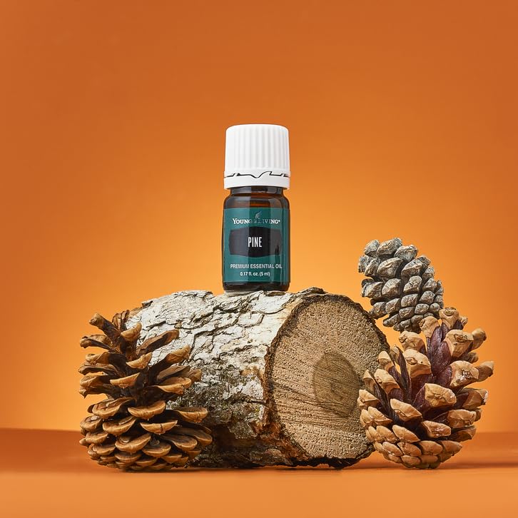 Amazon.com: Young Living Pine Essential Oil, 5ml – Refreshing