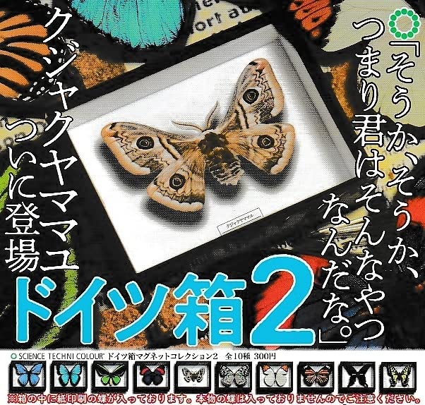 Amazon.co.jp: サイエンステクニカラー ドイツ箱マグネット