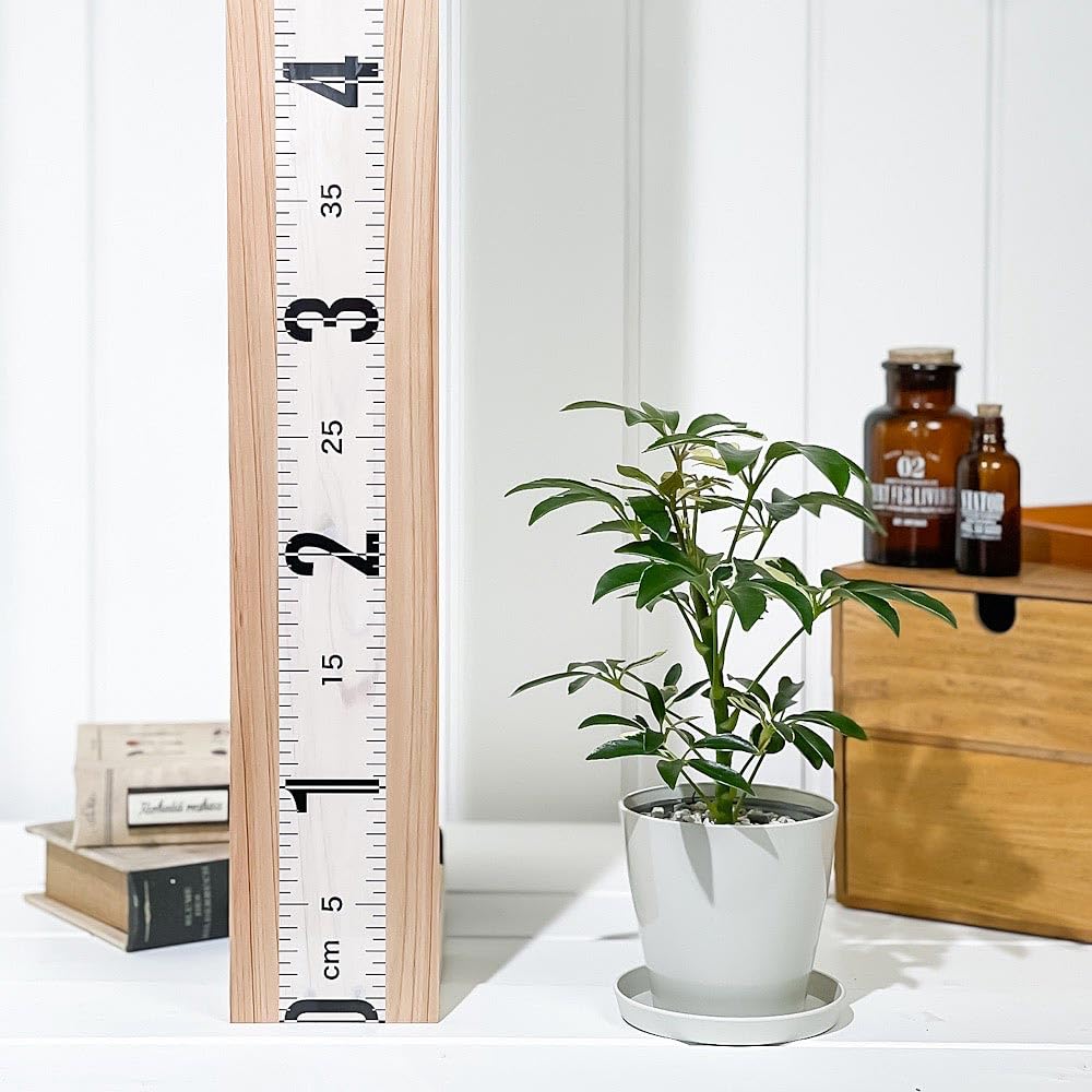 Amazon.co.jp: PLANCHU 観葉植物 シェフレラ アルボリコラ ムーン