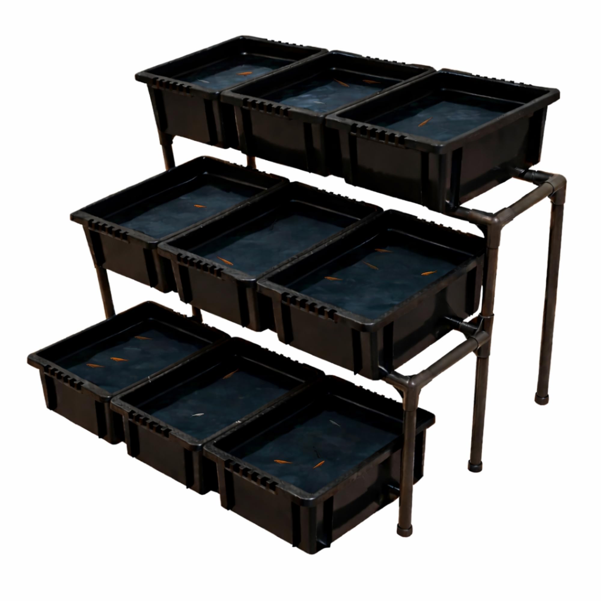 Amazon.co.jp: メダカ飼育ラック (NV BOX 13専用 2段タイプ) : ペット用品