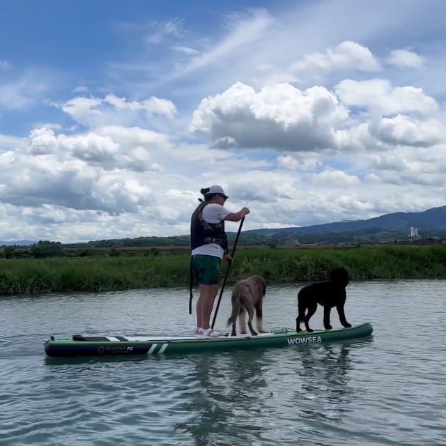 Amazon.co.jp: WOWSEA Flyfish F2 SUP サップ アップパドルボード