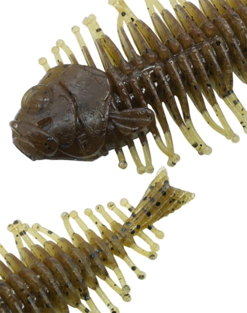 Amazon.co.jp: ディスタイル(Dstyle) GEELACANTH (ギーラカンス) 3