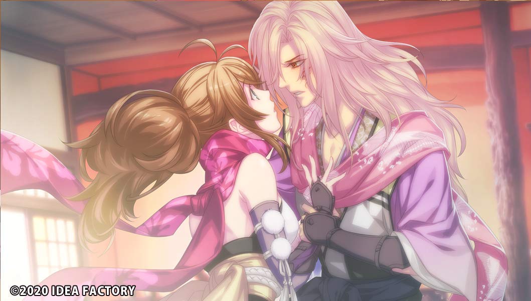 Amazon.co.jp: 忍び、恋うつつ for Nintendo Switch : ゲーム