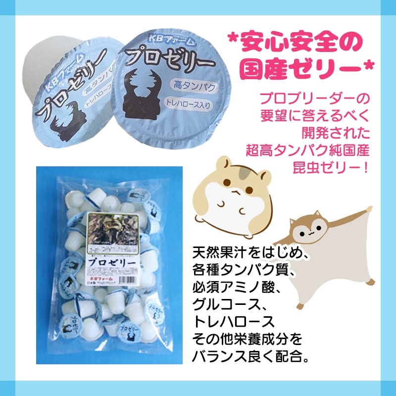 Amazon | KBファーム プロゼリー(16g 1,000個入り) 昆虫 小動物 | KB
