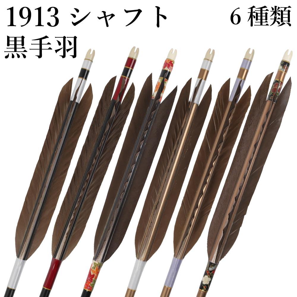 弓道 矢 easton xx75 2015 6本 矢筒セット 弓道 EASTON xx75 1913 矢6