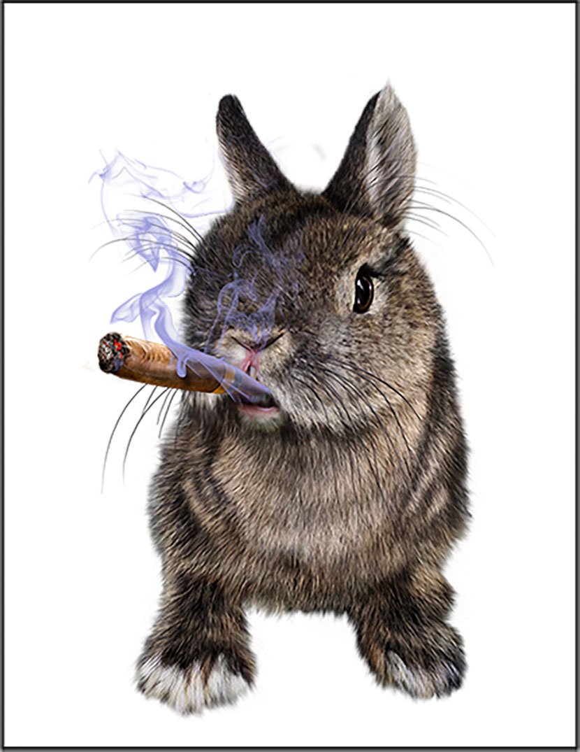 Amazon | 【煙草を吸ううさぎ たばこ】 余白部分にオリジナル