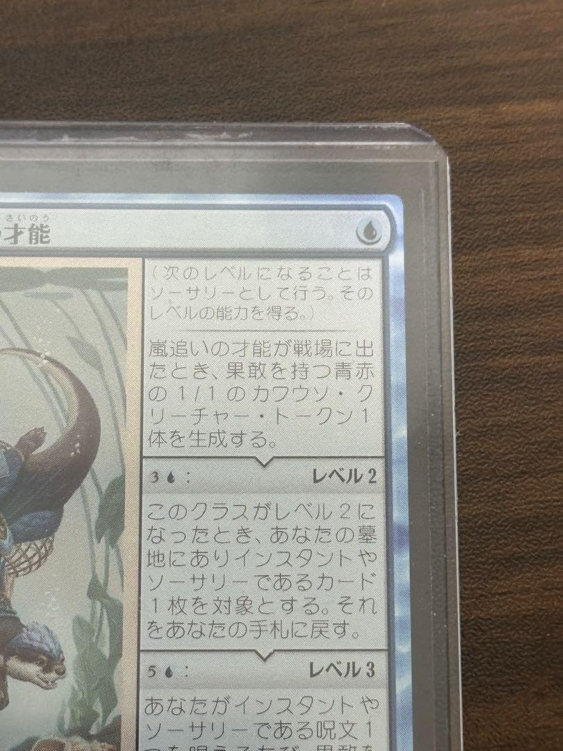 嵐追いの才能 英語版4枚セット 嵐追いの才能 英語版4枚セット MTG 英語