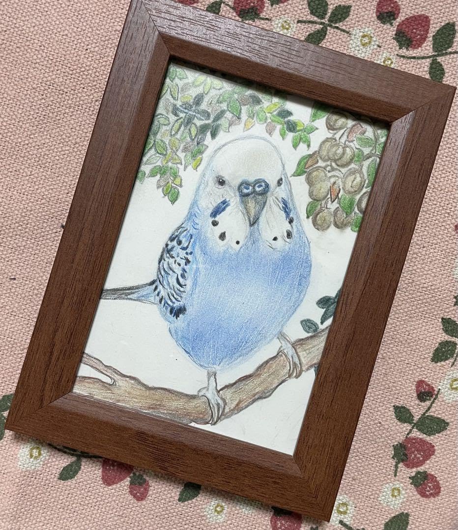 Amazon.co.jp: 色鉛筆画 リアル可愛いセキセイインコ色鉛筆画 原画