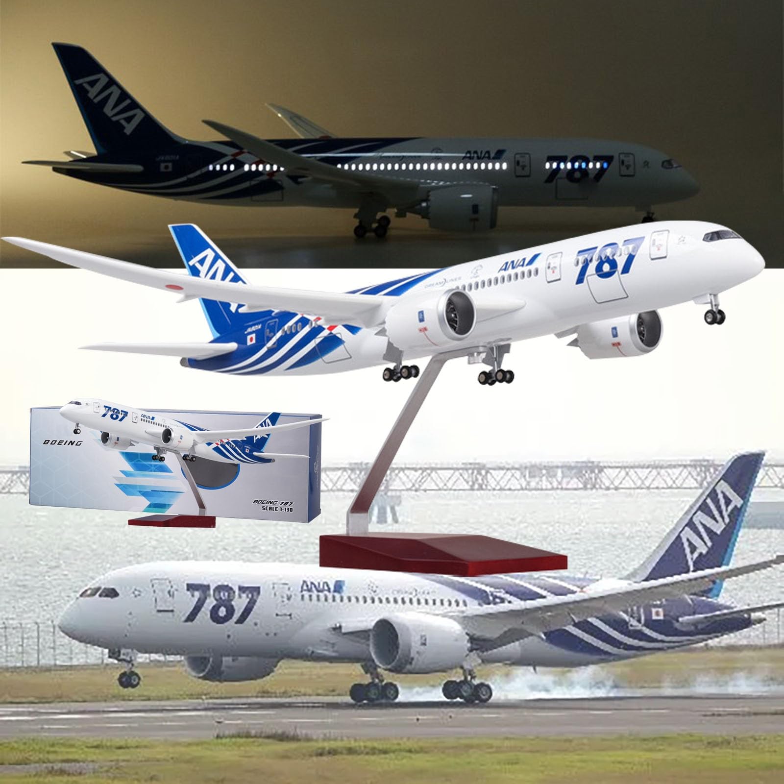 専用】ANA B787 ボーイング1:130スケール ジェット機 ディスプレイ