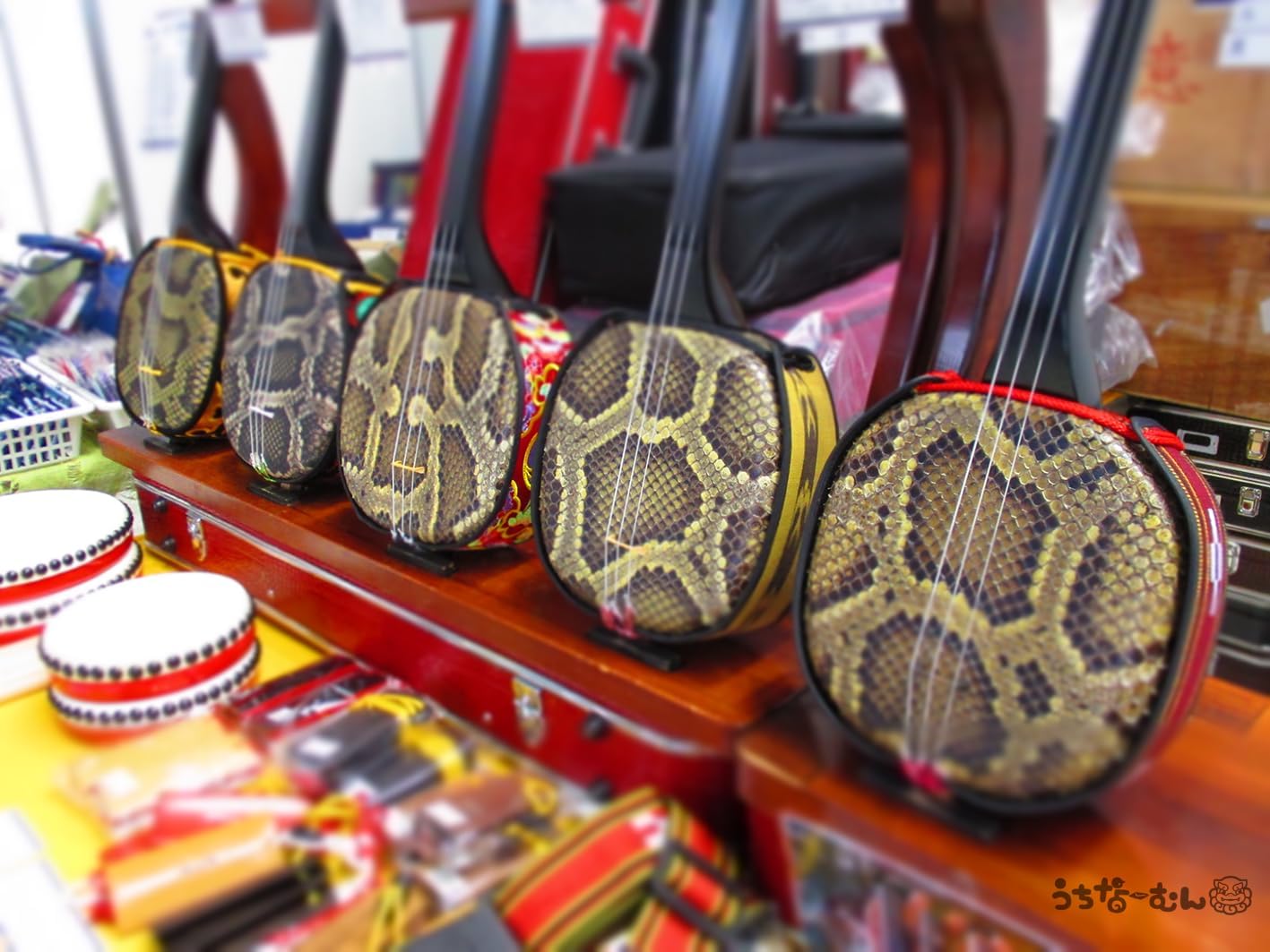 Amazon.co.jp: 三線 ピック ×2枚 ＋うちなーむんシール