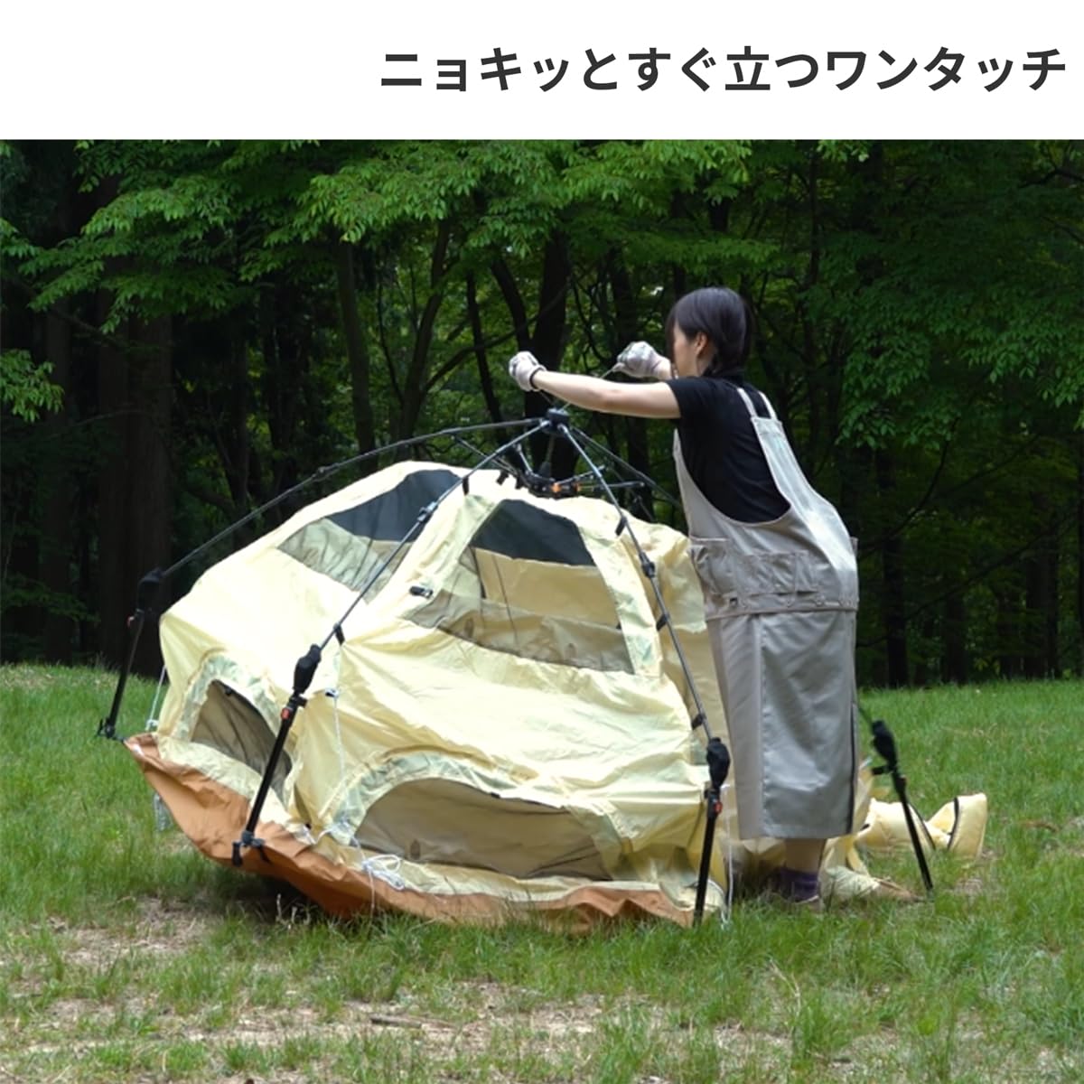 Amazon | DOD(ディーオーディー) ミニキノコテント 快適でかわいい