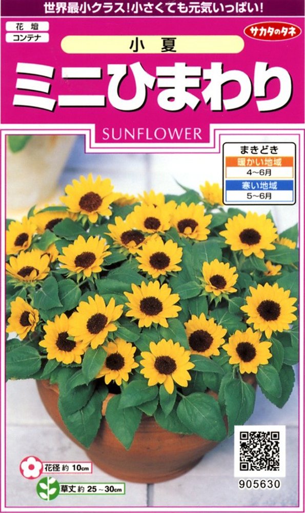 Amazon | サカタのタネ 実咲花5630 ミニひまわり 小夏 00905630 | 種・苗
