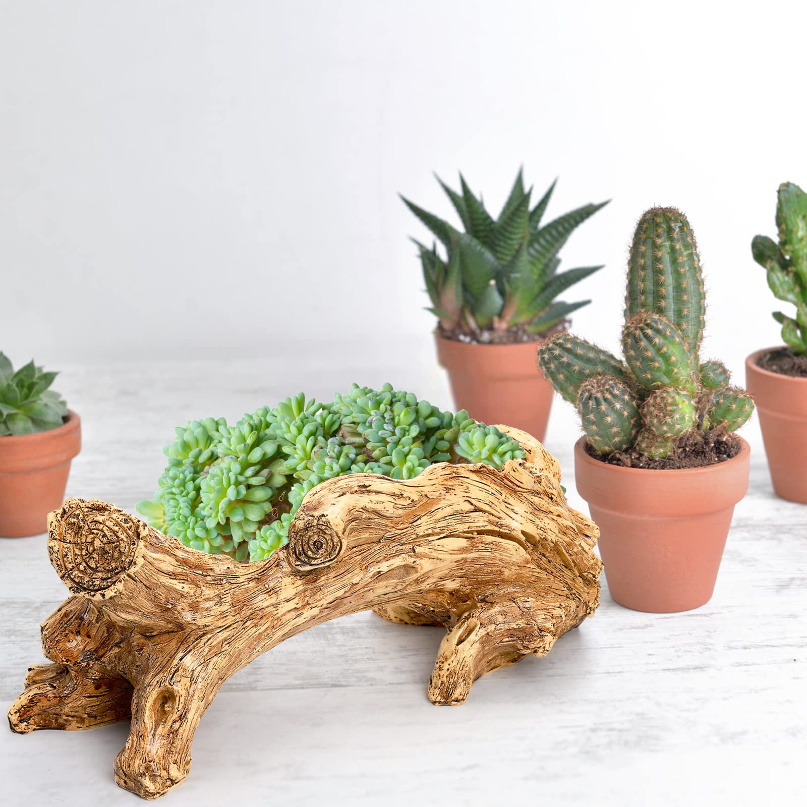 Amazon.co.jp: Hiceeden 人工流木多肉植物 プランター 樹脂の木の