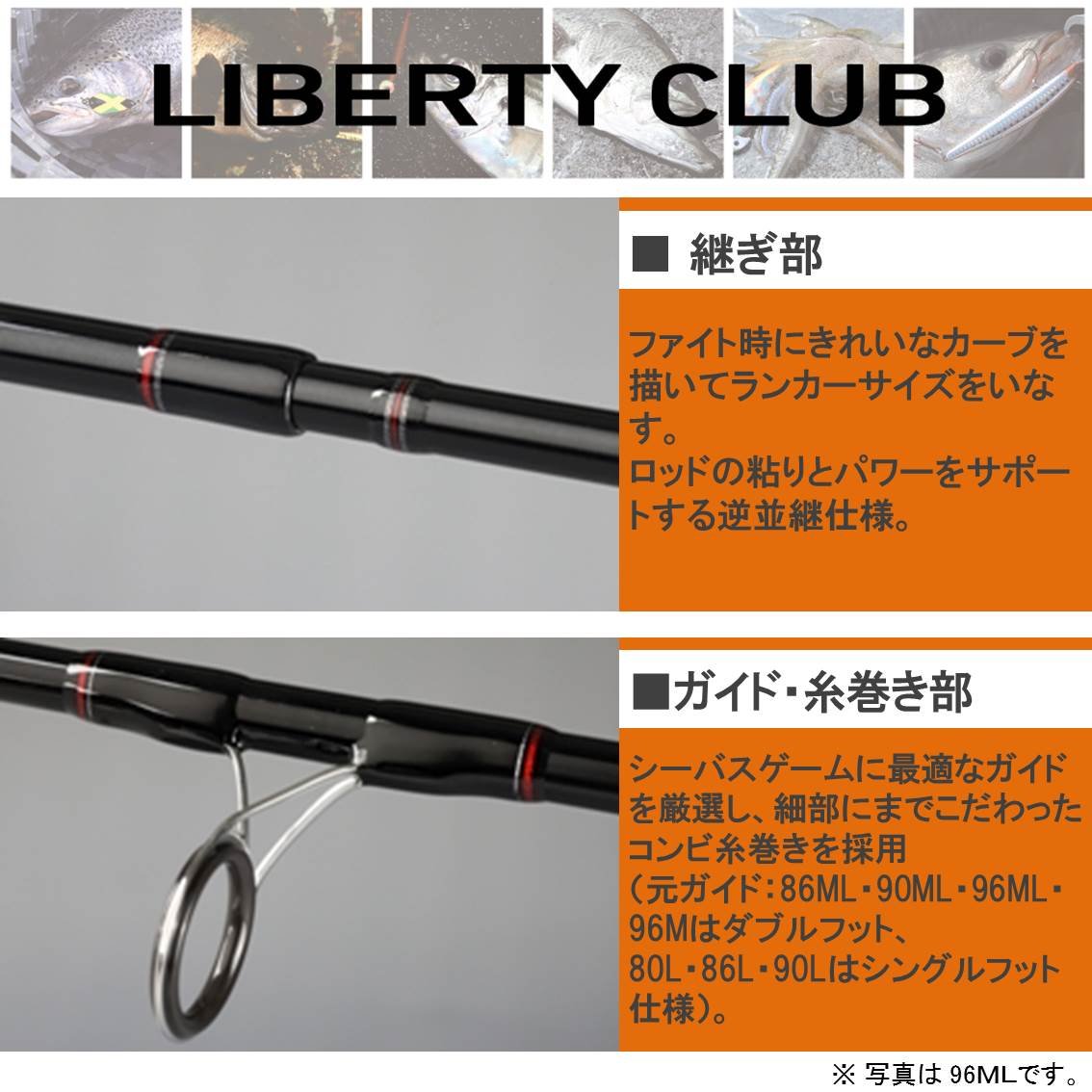 Amazon | ダイワ(DAIWA) シーバスロッド リバティークラブシーバス 96M