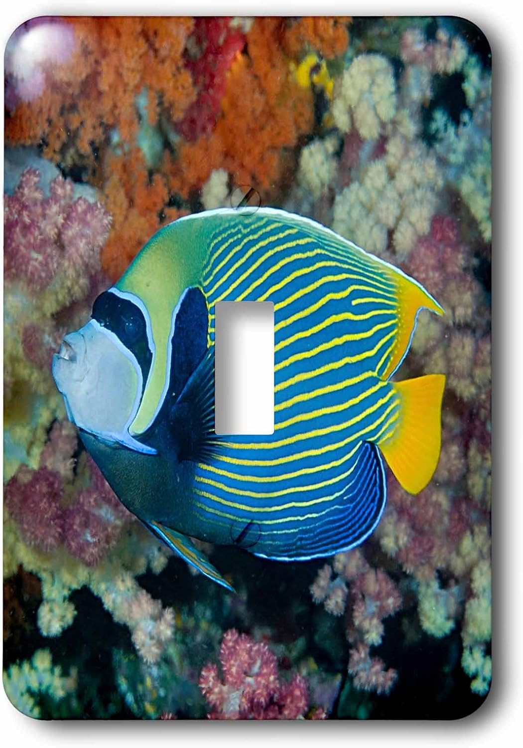 FURUKAWA ホイールローダ 】FL200-1 ☆レア物 箱付 1/50 FURUKAWA