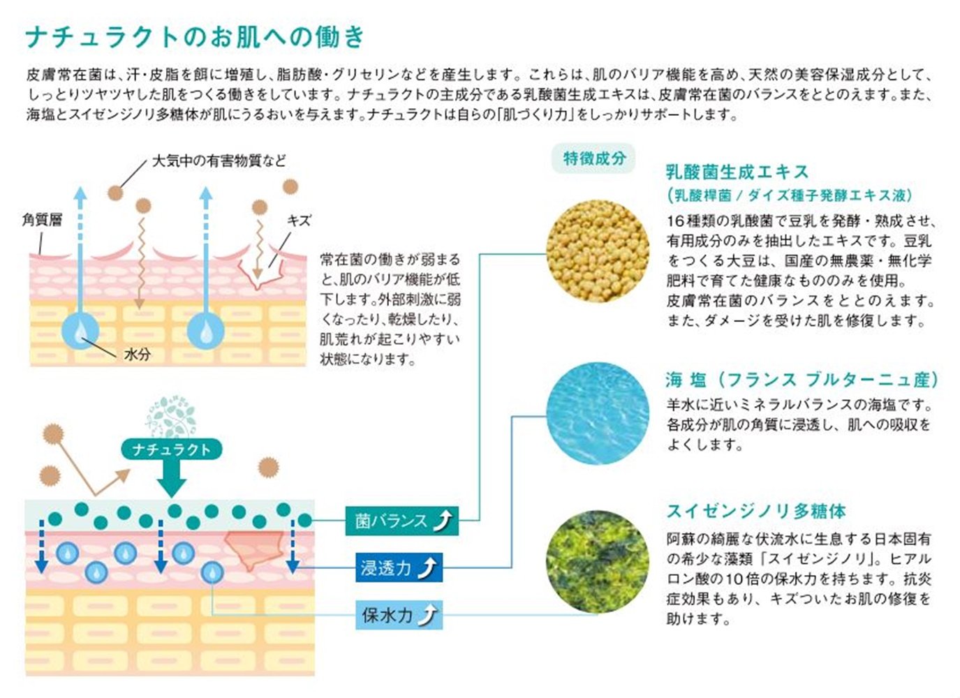 Amazon | ナチュラクト 200ml 乳酸菌生成エキス配合 スキンケア