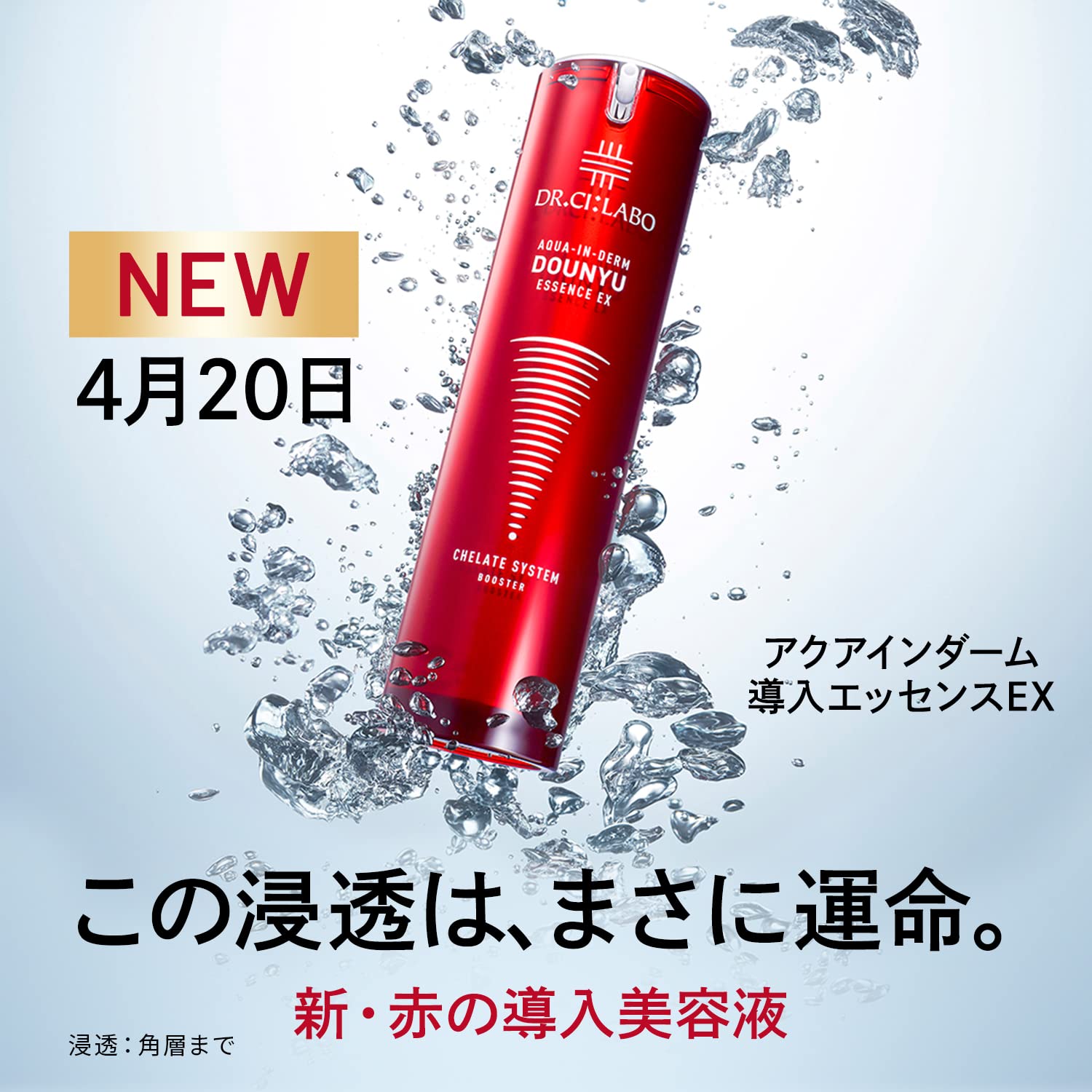 Amazon.co.jp: アクア インダーム 導入 エッセンス EX P 100mL [ 導入