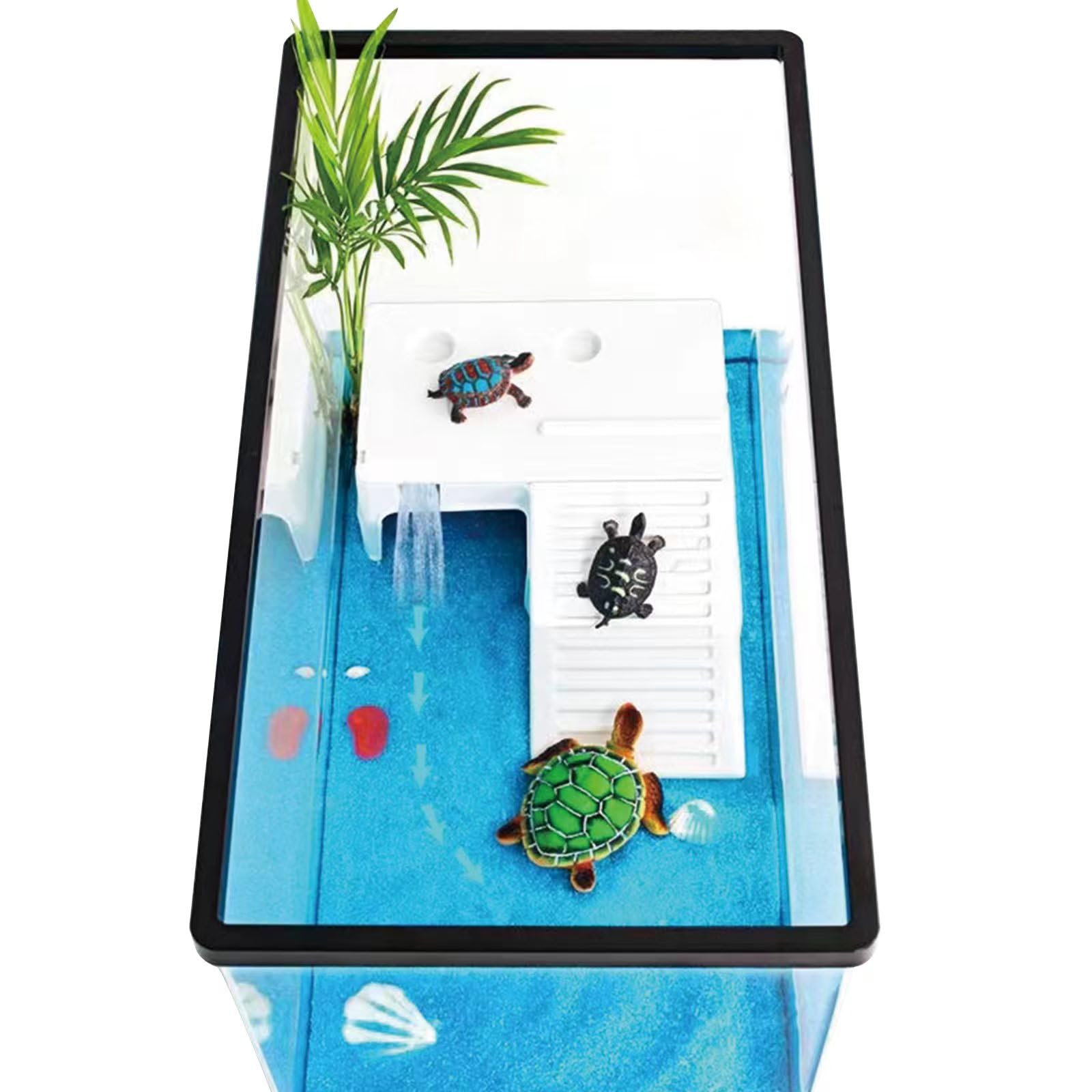 Amazon | 亀用大型タートルタンク アクリル水槽 360度見える 爬虫類
