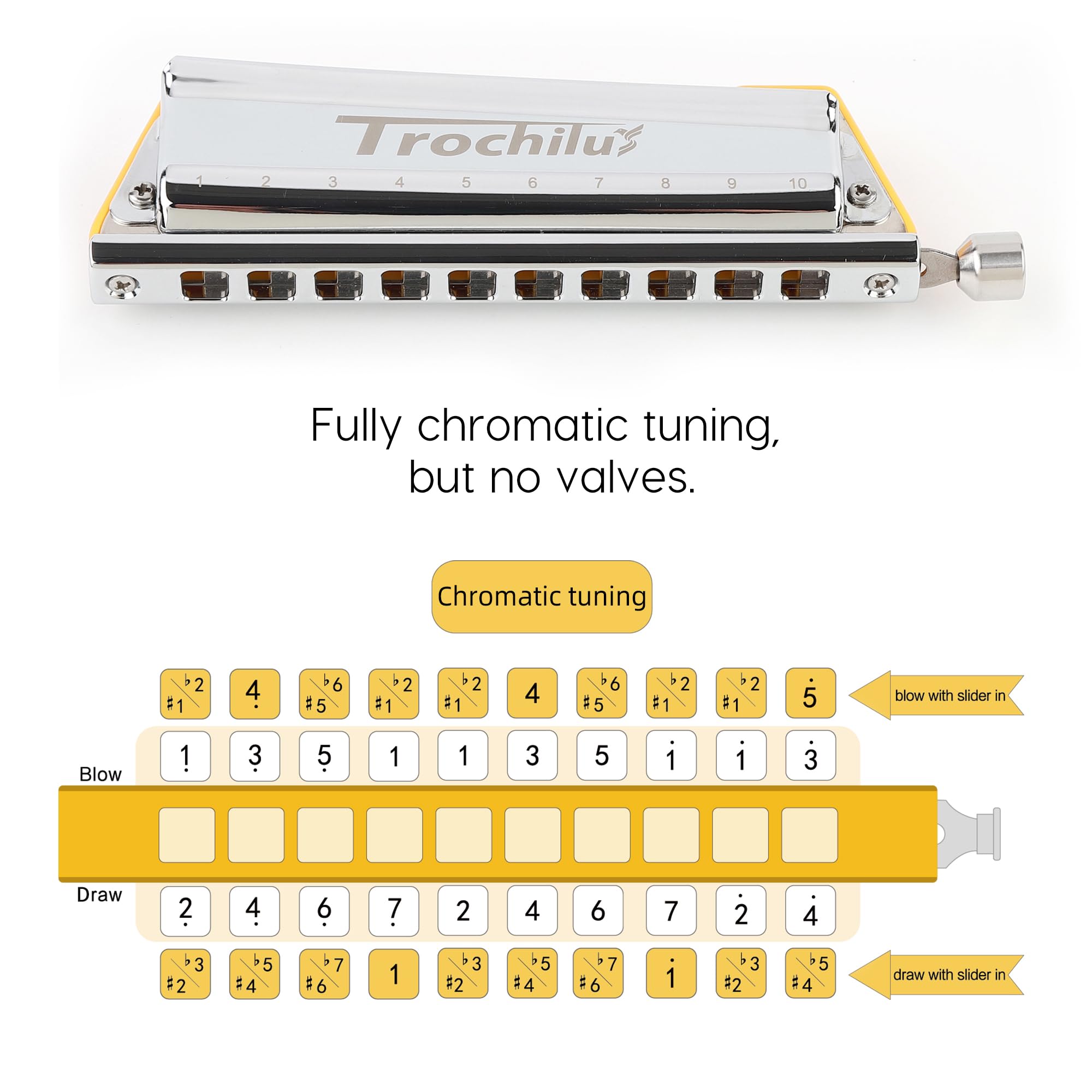 Amazon.com: JDR Trochilus 10 Holes Chromatic Harmonica Solo Tuning