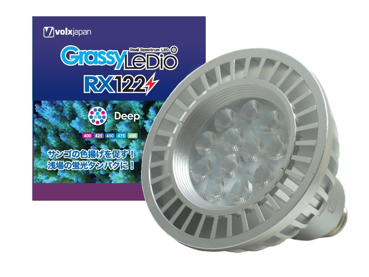 Amazon.co.jp: Volks Japan GrassyLeDio RX122 Deep : Pet Supplies