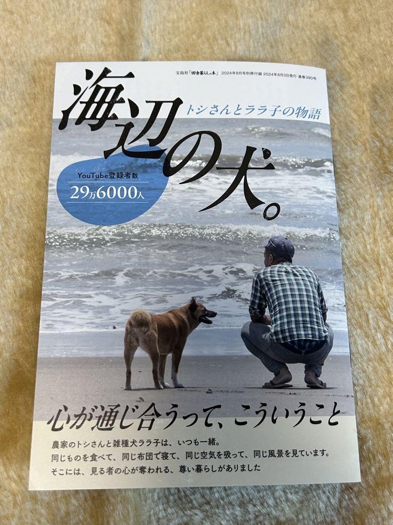 田舎暮らしの本 2024年8月号 田舎暮らしの本 2024年 08 月号 [雑誌