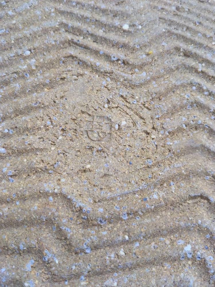 Amazon.co.jp: 益子焼 坂田甚内 灰釉縞手皿 径26cm ホビー グッズ