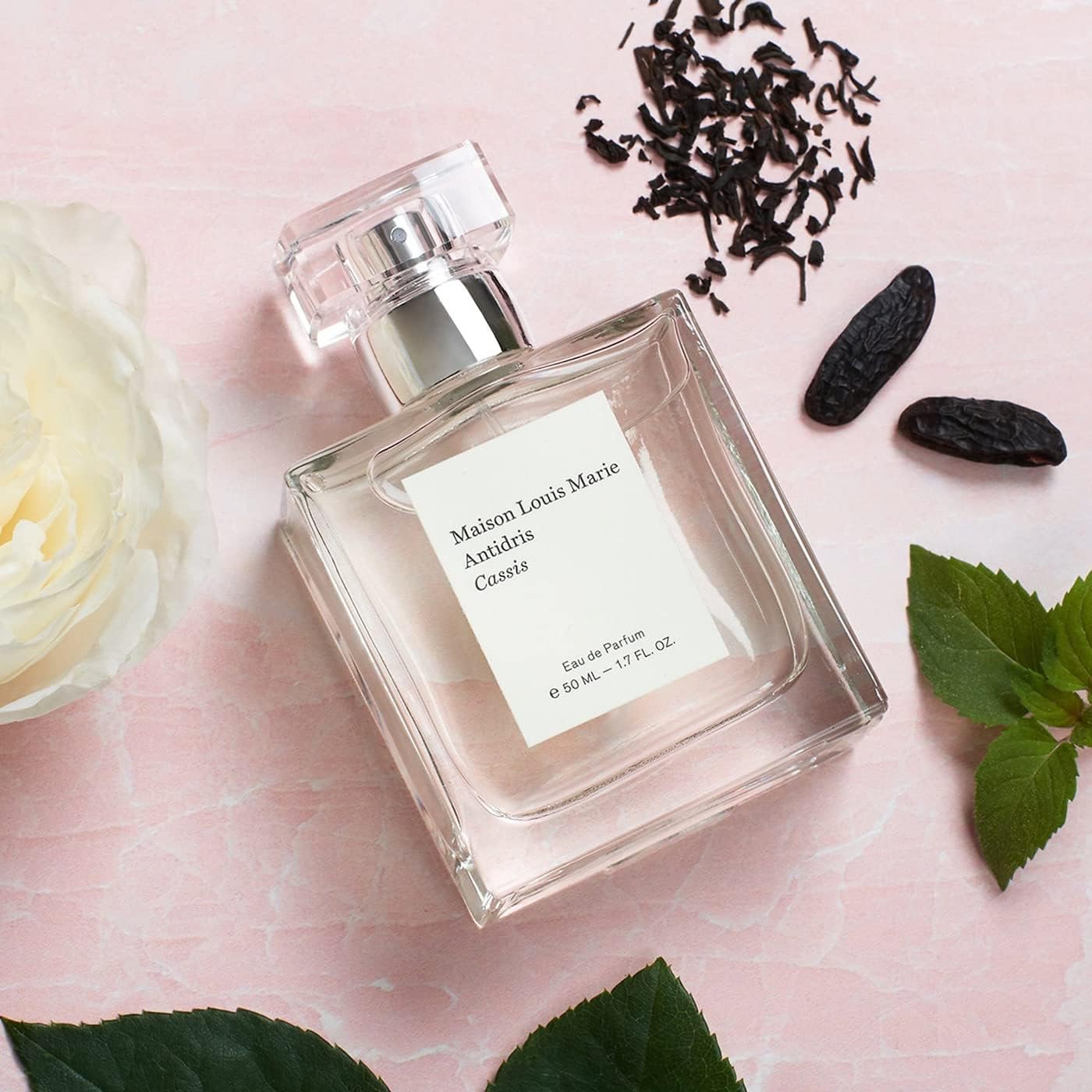 Amazon.com : Maison Louis Marie - Antidris Cassis Natural Eau de