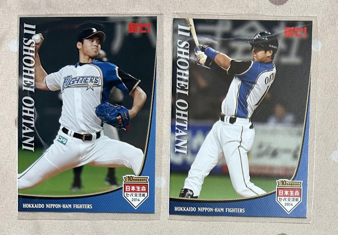 大谷翔平 2013 ハイライトフォト No.379 日本ハム 球団公式写真 【公式