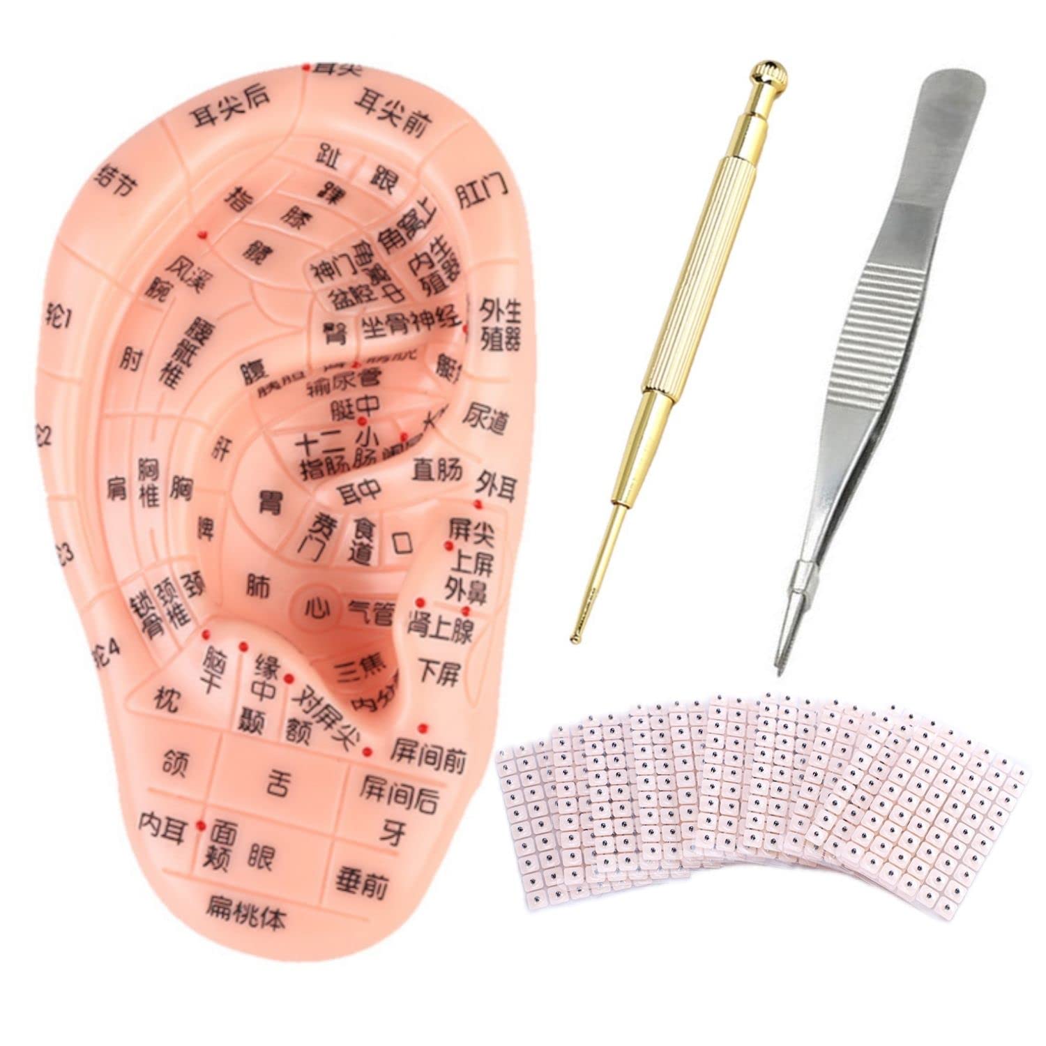 Amazon.co.jp: SevenTone 耳ツボ 模型 シール ｽﾃｨｯｸ 4点ｾｯﾄ 耳壺 17cm