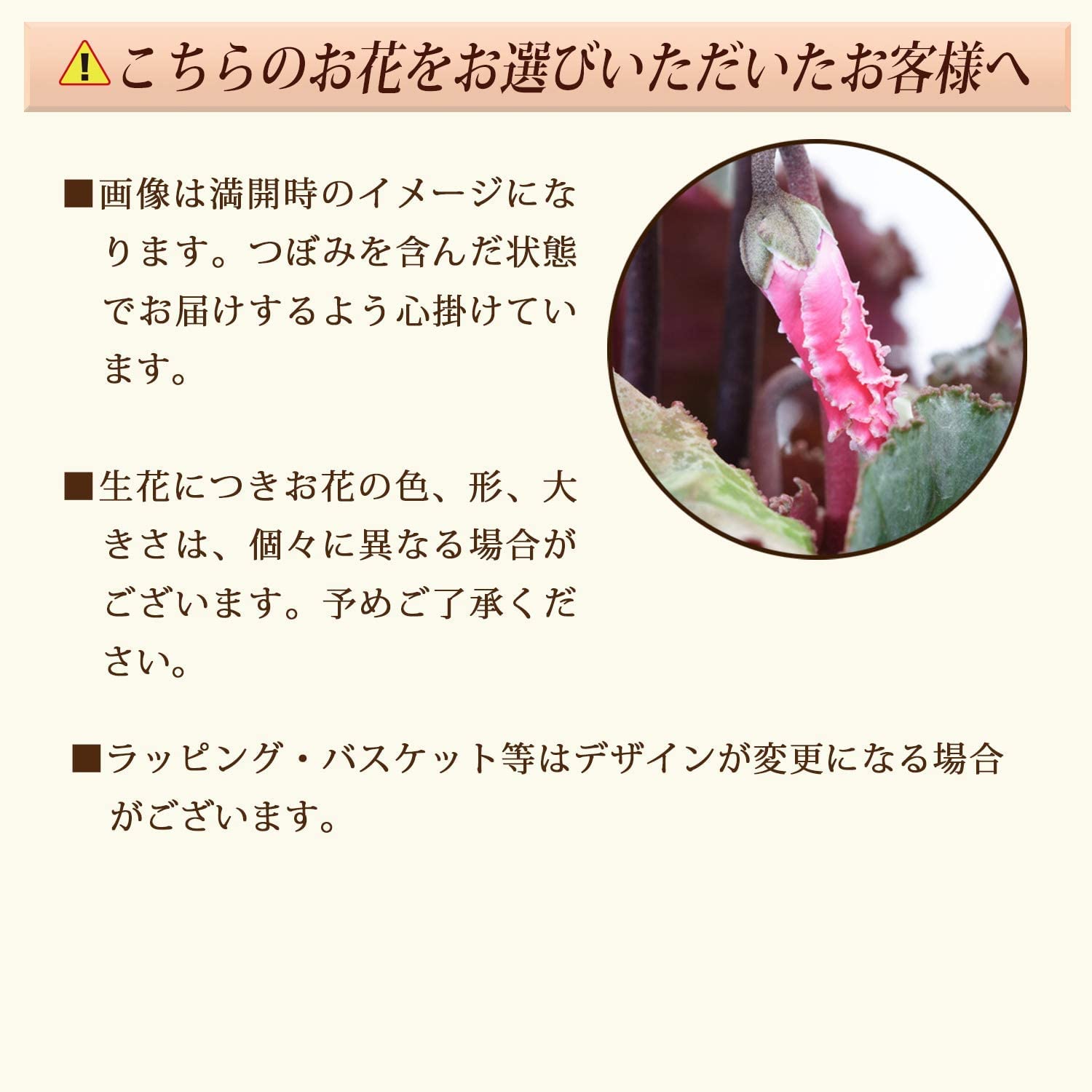 Amazon | 花のギフト社 シクラメン ギフト プレゼント 花 鉢植え 鉢花