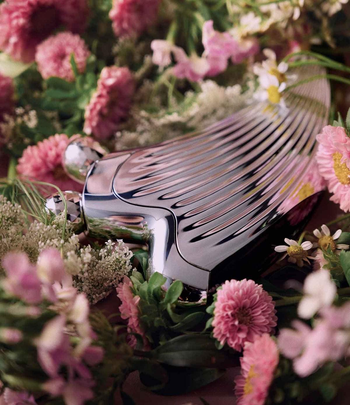 Amazon.co.jp: ReFa(リファ) ReFa CAXA RAY 単品 126グラム (x 1