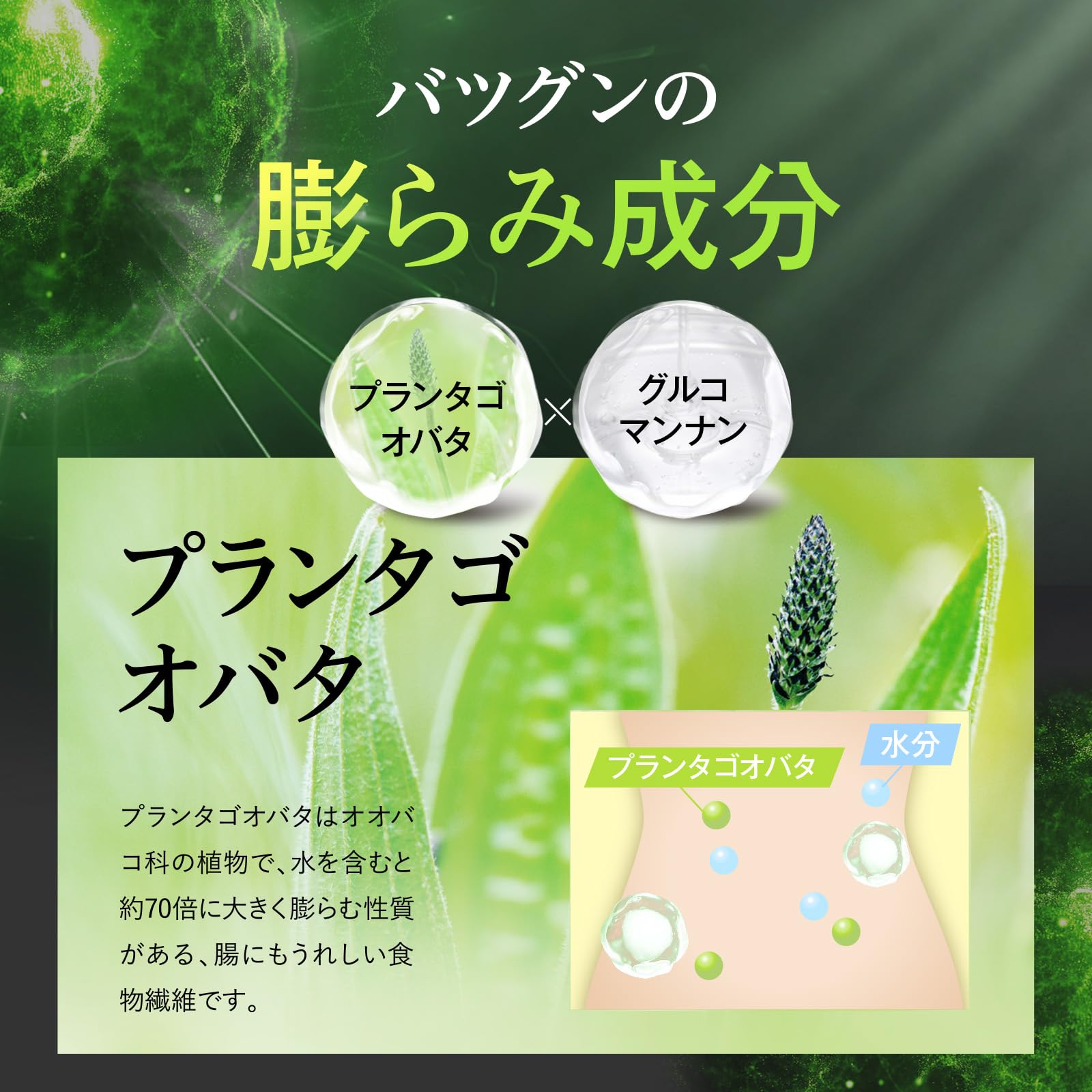 Amazon.co.jp: オモイコメンディー omoikomandy 置き換え ダイエット