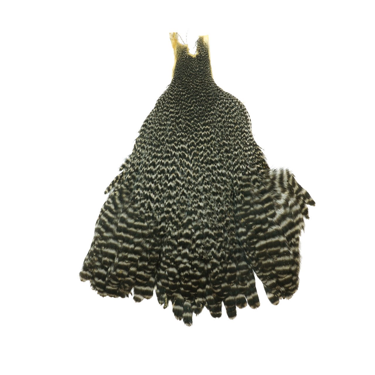 Amazon | ティムコ(TIEMCO) フライマテリアル メッツ ヘンネック #1