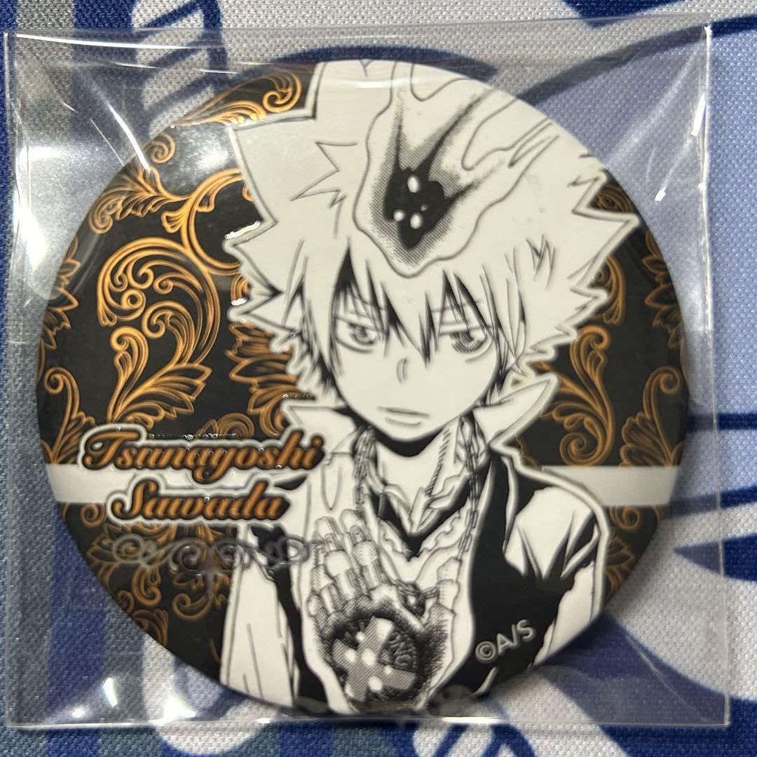 家庭教師ヒットマンREBORN アニカプ 缶バッジ 沢田 綱吉 ツナ