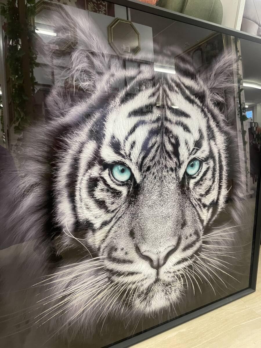 ガラスアートパネル ホワイトタイガー 虎 トラ 寅 絵画 額縁 アート