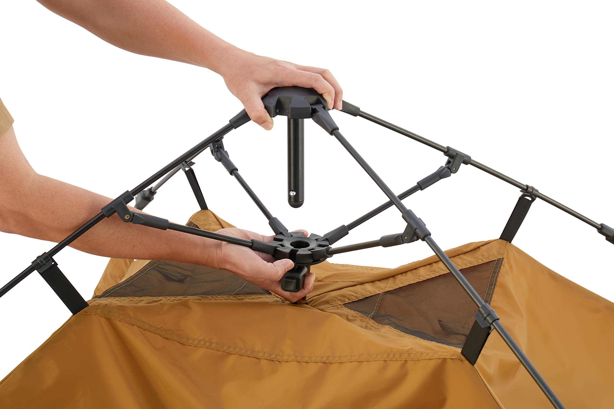 Amazon.co.jp: Coleman(コールマン) Tent Instant Up Dome 240 with