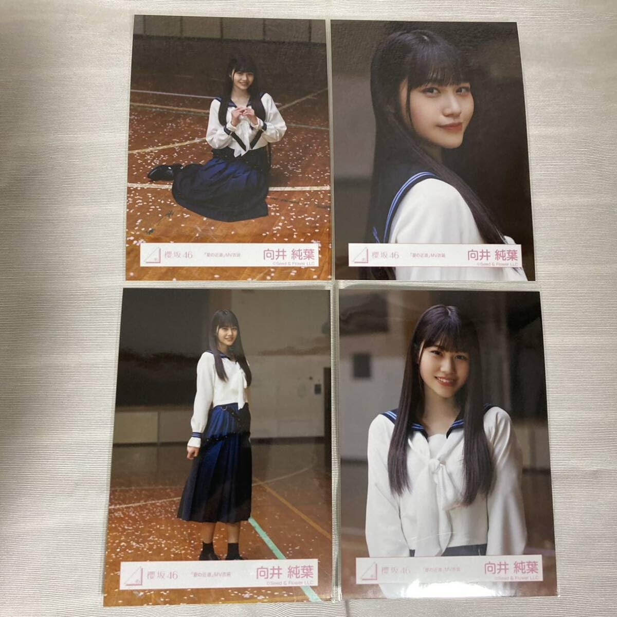 向井純葉 夏の近道 櫻坂46 生写真 Amazon.co.jp: 櫻坂