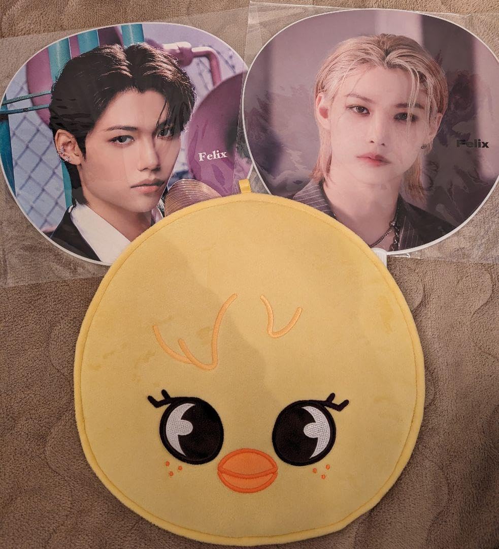 Stray Kidsフィリックスうちわケース