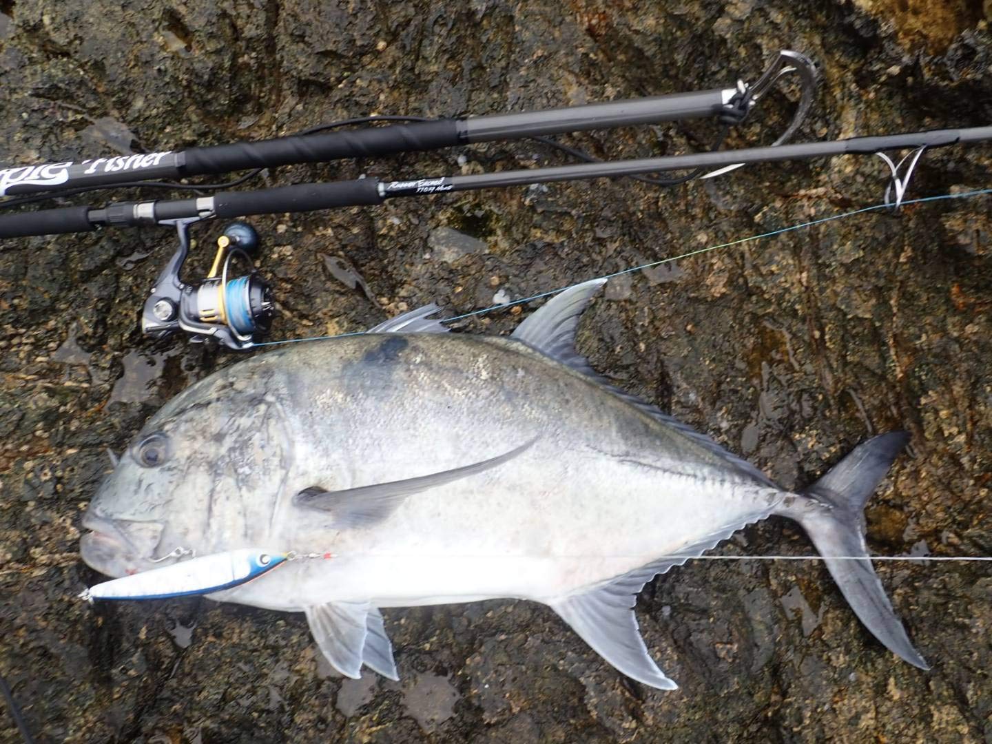 Amazon | RippleFisher RunnerExceed 107BH Nano/リップルフィッシャー