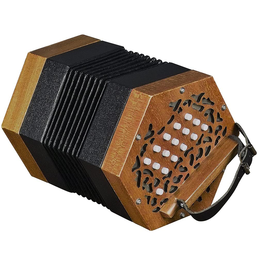 Amazon | 30ボタンアコーディオンコンサータン、エントリーレベルの