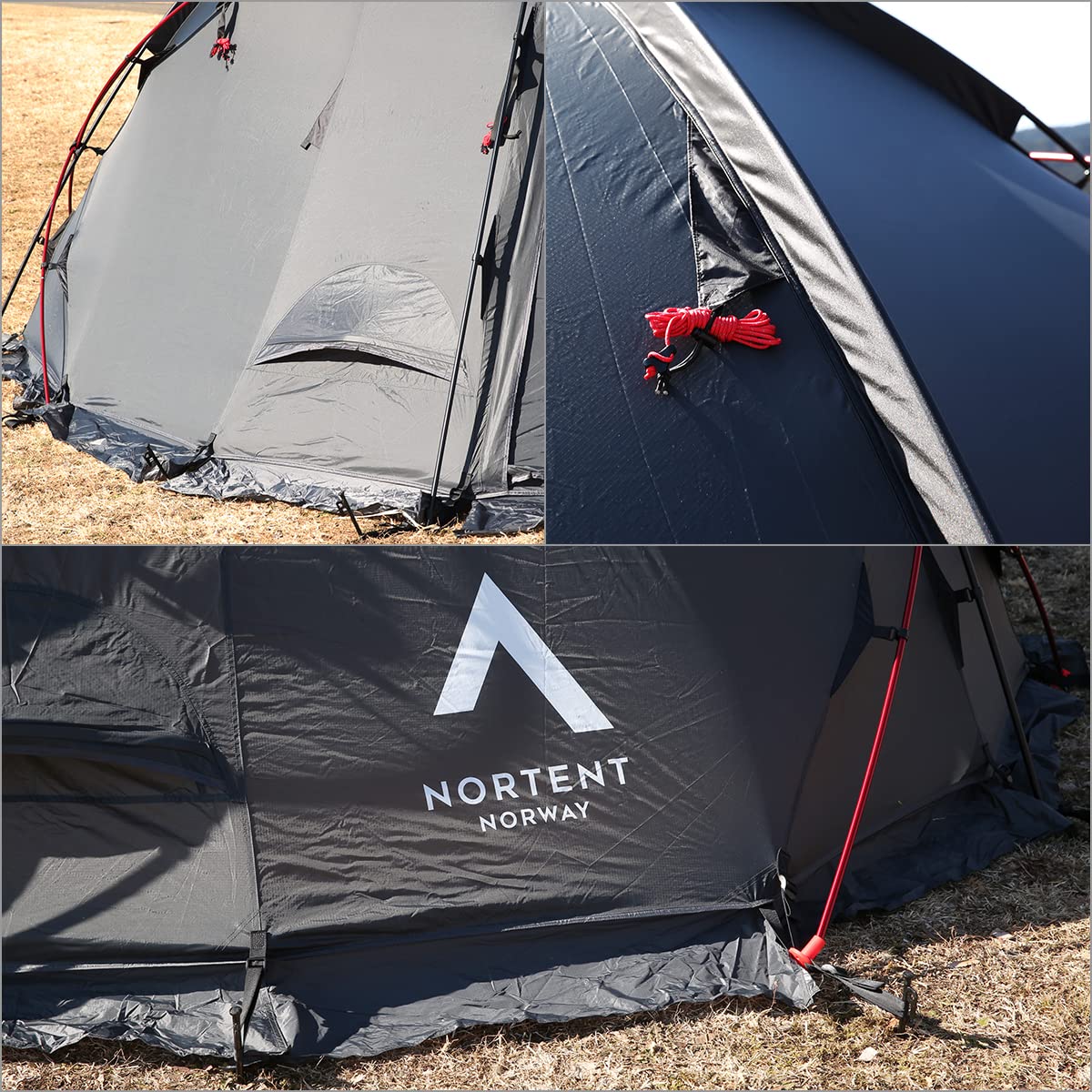 Amazon.co.jp: Nortent Gamme 6（ギャム6）テント 6人用テント ドーム