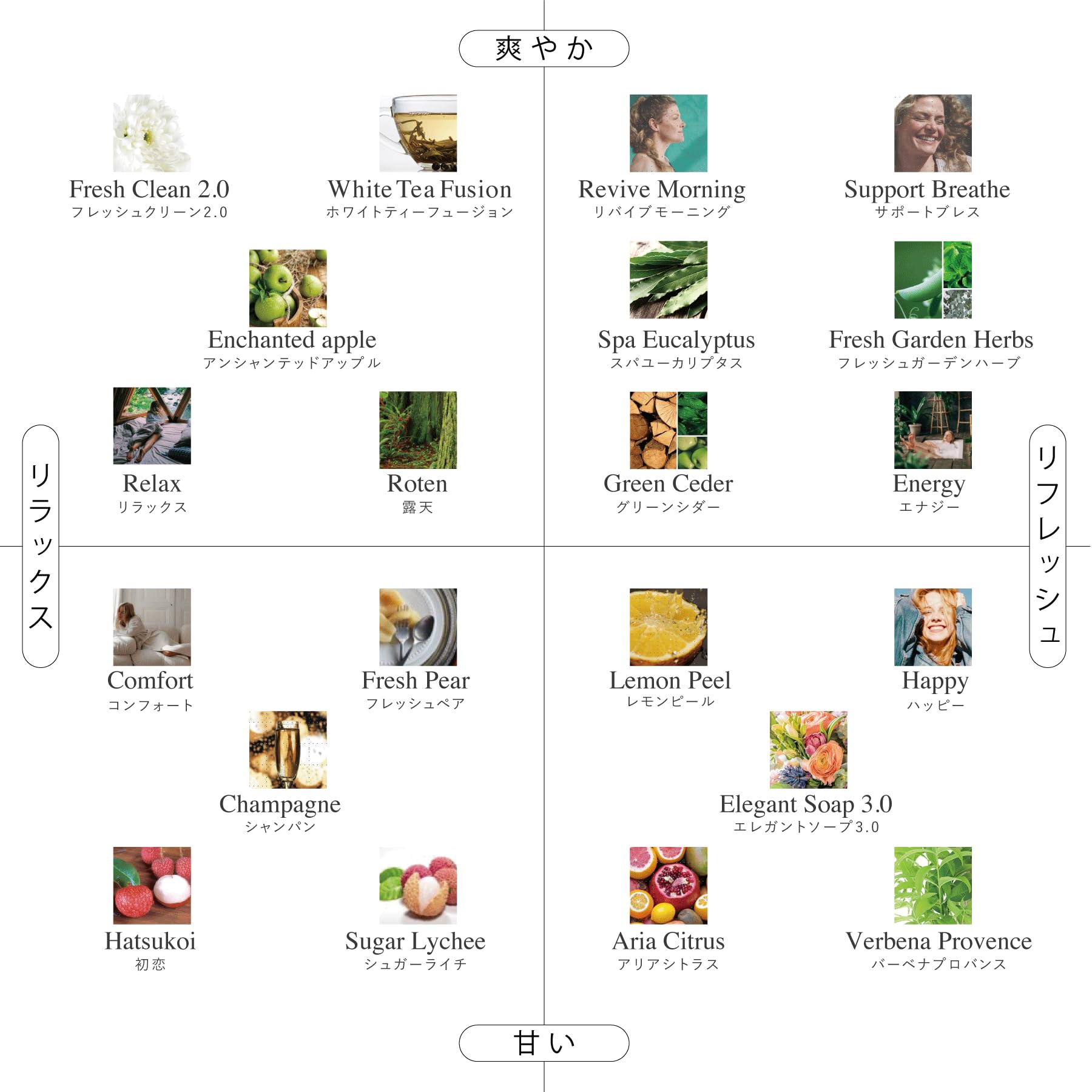 Amazon.co.jp : PROLITEC(プロリテック) / AirQ160 アロマ 業務用