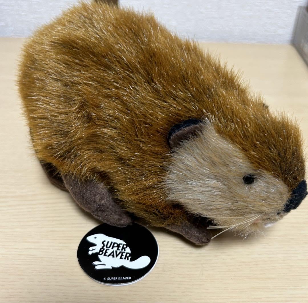 Amazon.co.jp: SUPER BEAVER スーパービーバー ビーバーちゃん