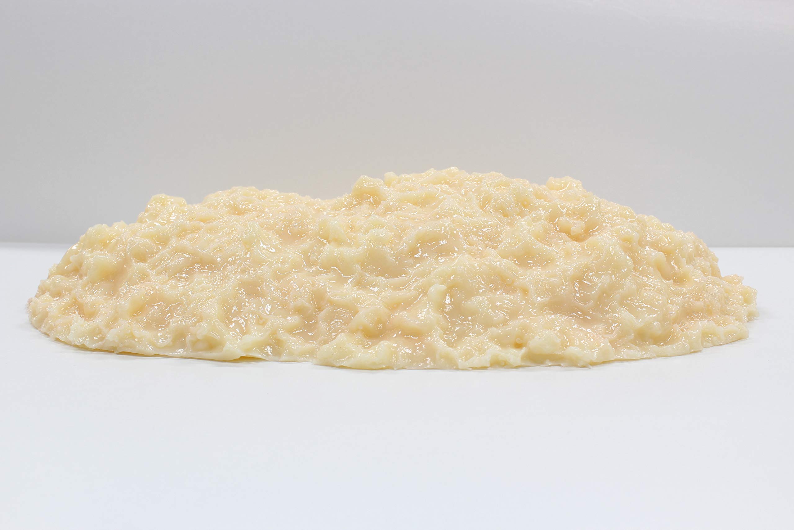 Amazon.co.jp: 脂肪サンプル 脂肪模型 食品サンプル 実物重量