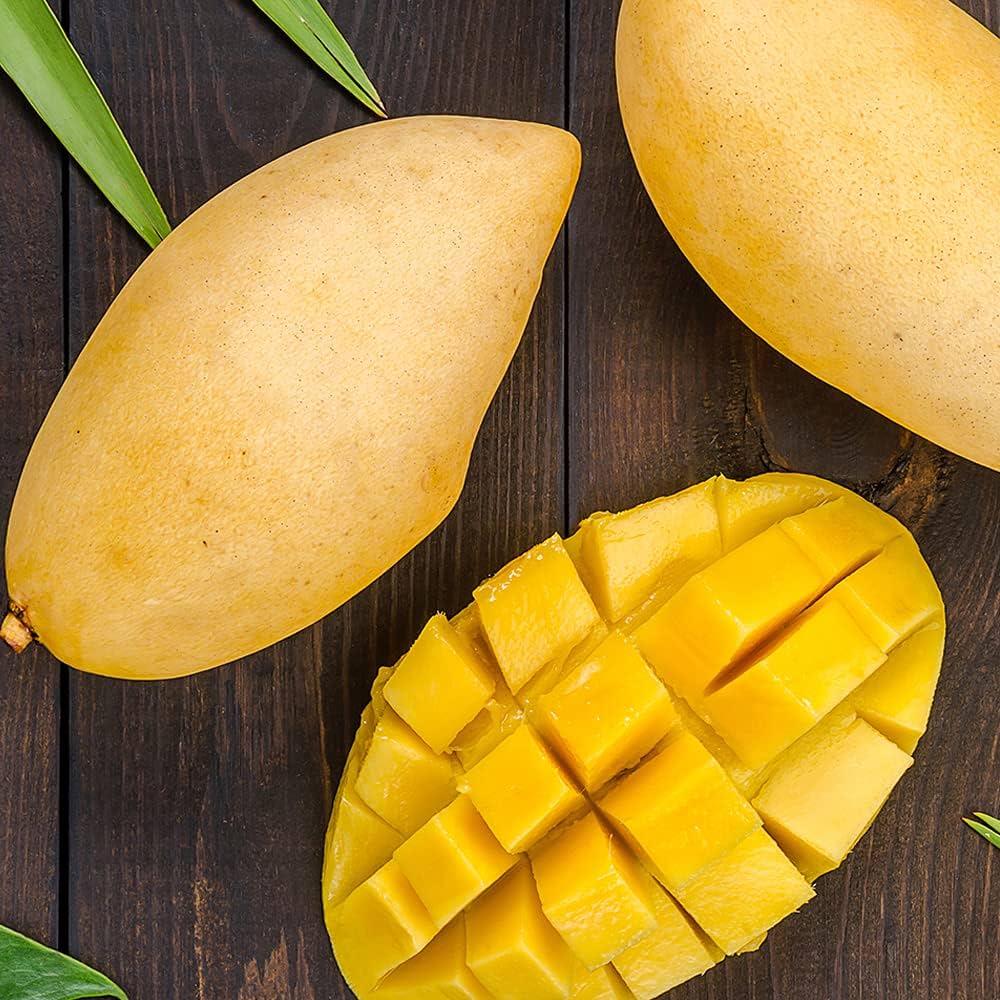 Amazon.co.jp: ITANSE マンゴー ナンドクマイ 6号 1個売り 果樹